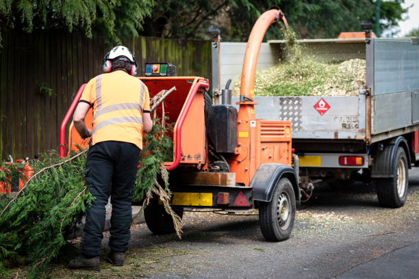 Best Tree Mulching  in Stratford, WI