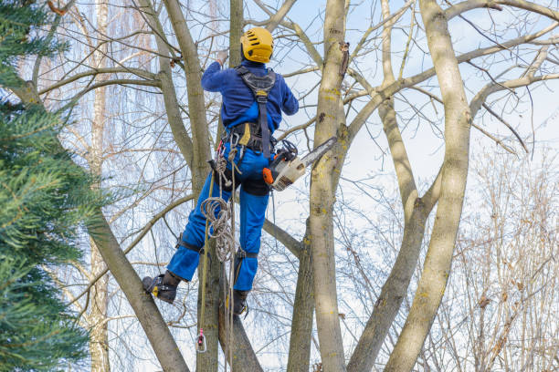 Best Soil Testing and Treatment  in Stratford, WI