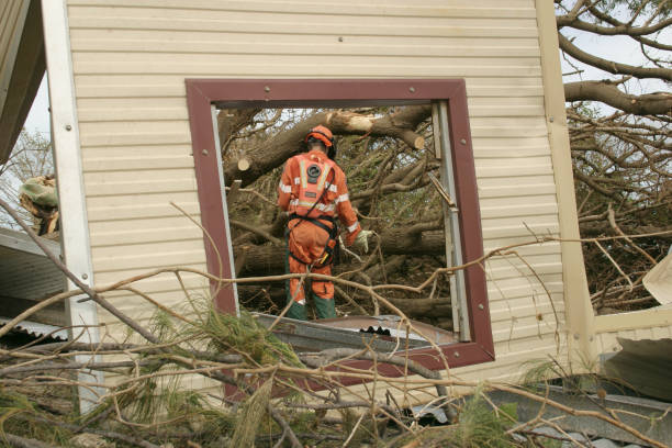 Best Commercial Tree Services  in Stratford, WI