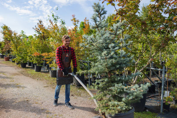 Best Pest Control for Lawns  in Stratford, WI